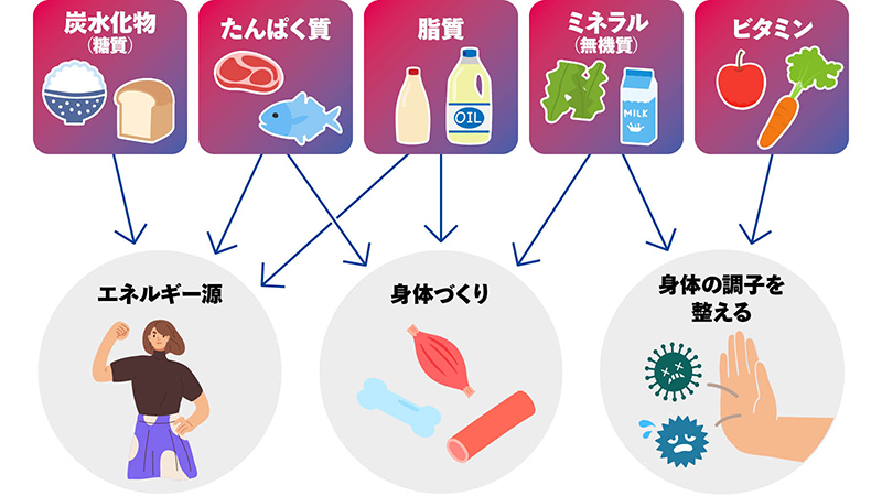 主要な栄養素とそれぞれの働き/出典:『ジュニアのためのスポーツ栄養: 学んで、食べて、強くなろう!/柴田 麗』(Gakken)
