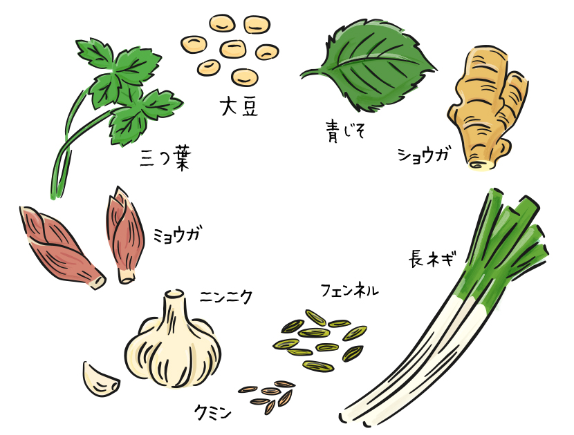 身体を温める食材