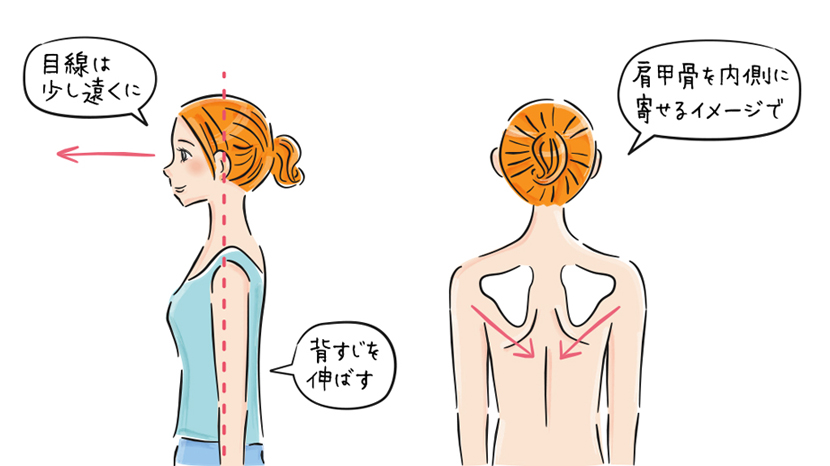 正しい背すじの伸ばし方のイラスト