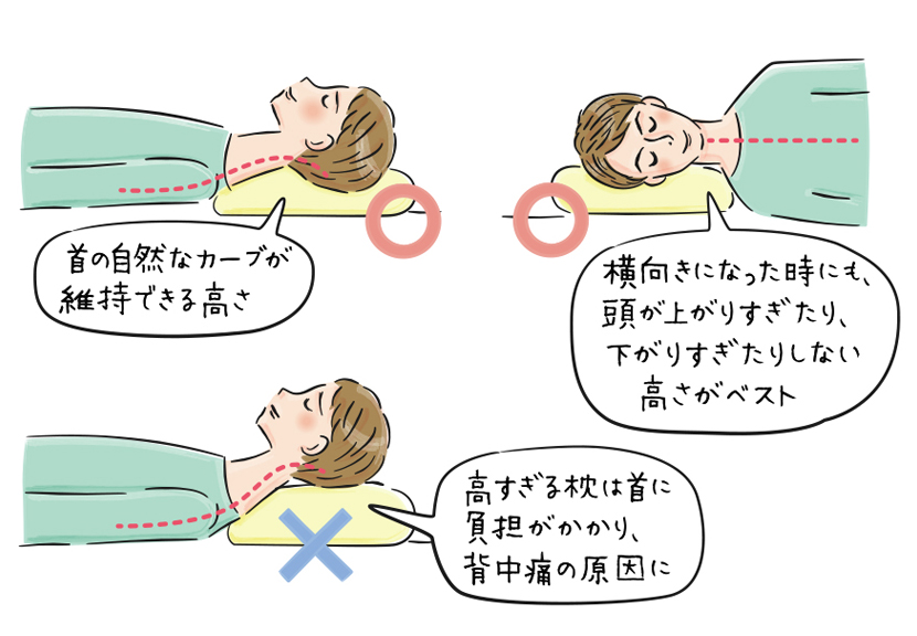適切な枕の選び方のイラスト