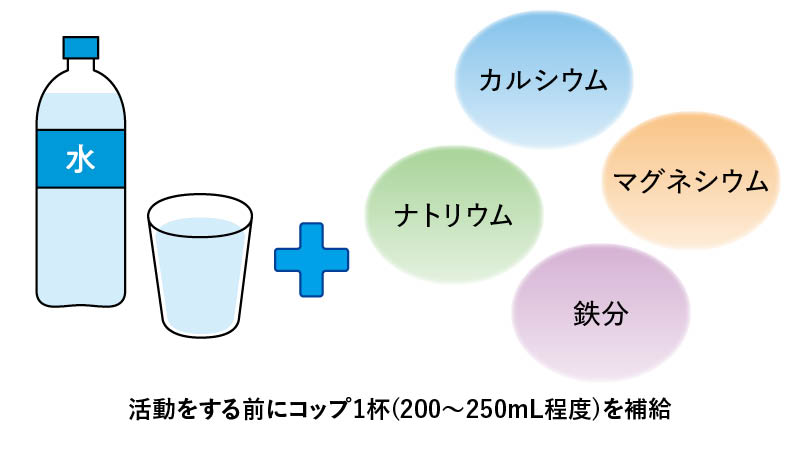 水分とあわせてとるべき栄養素を解説したイラスト